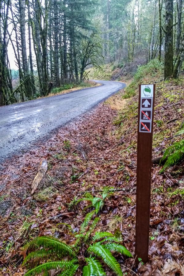 Trailhead sign at side of the road.