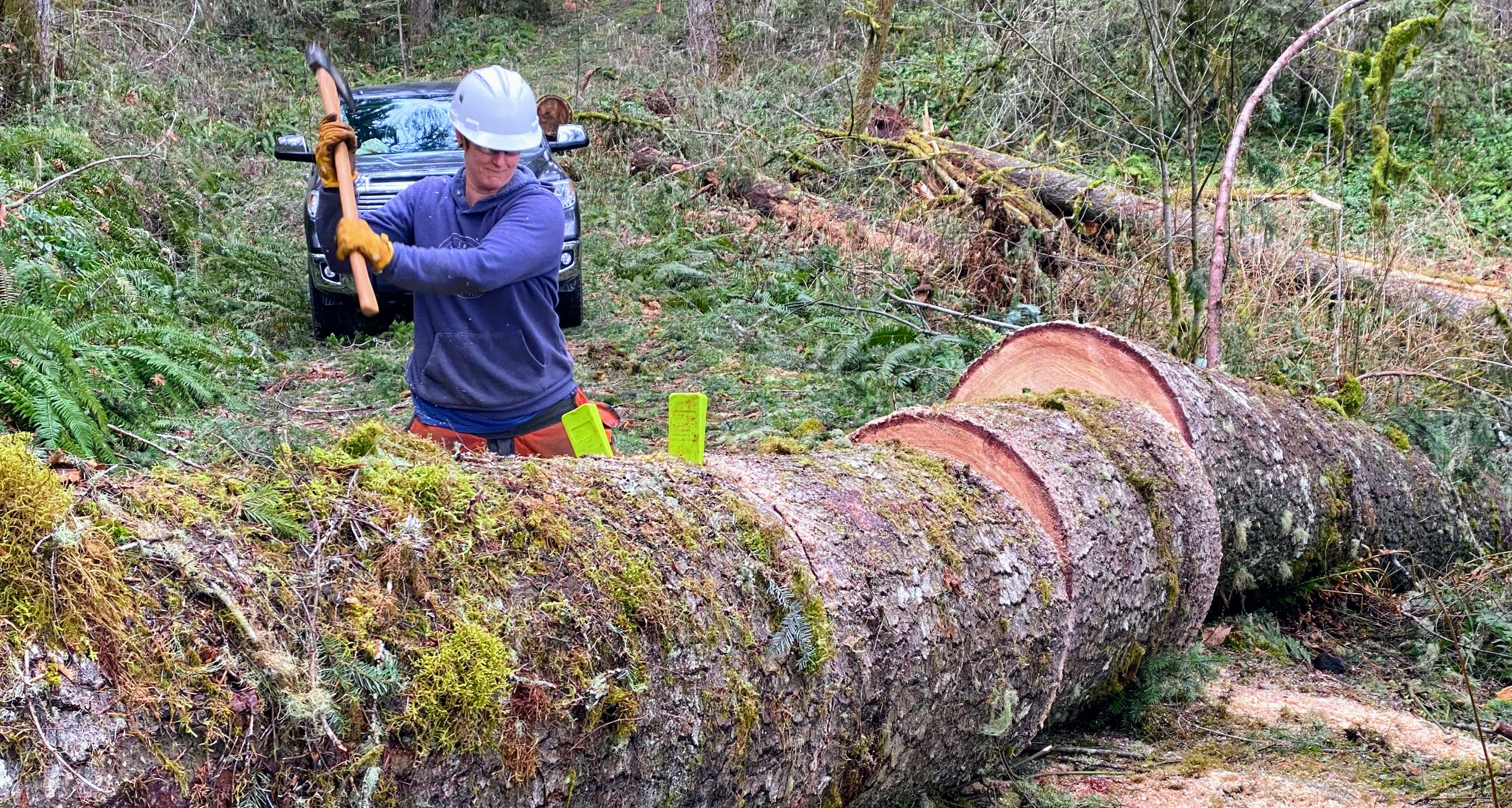 logout near Old Peak Road