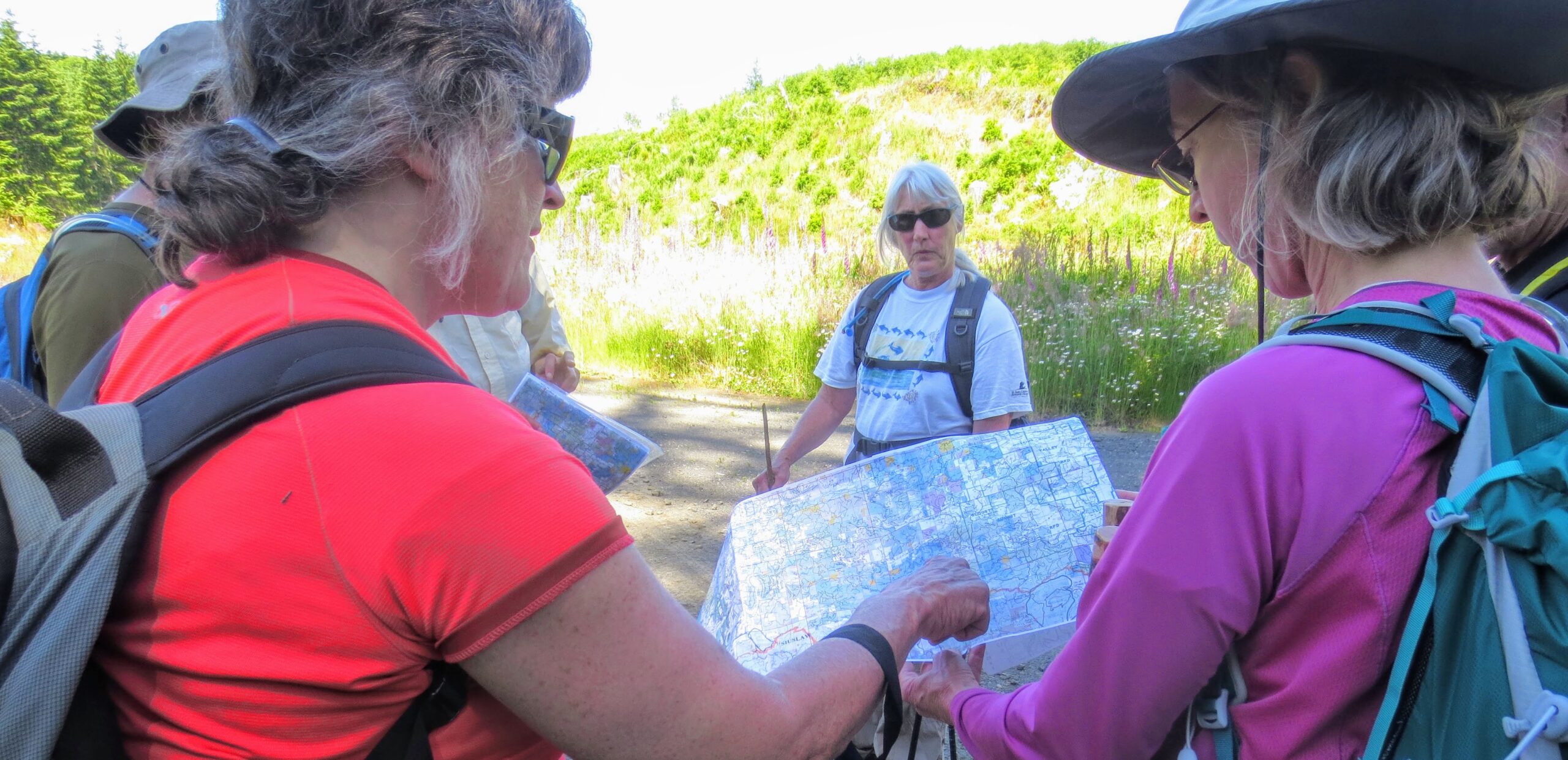 hikers reading a map